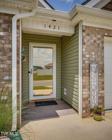 1421 Gress Mag Mountain, Kingsport, TN 37660