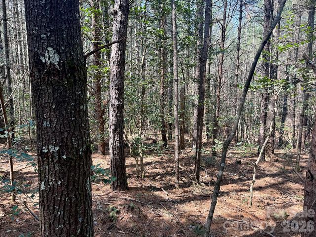 2494 Ivy Rays Way 41, Nebo, NC 28761