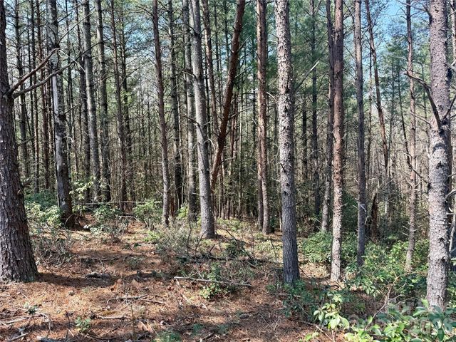 2494 Ivy Rays Way 41, Nebo, NC 28761