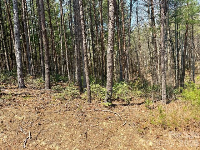 2494 Ivy Rays Way 41, Nebo, NC 28761
