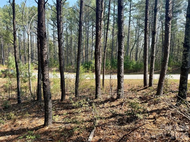 2494 Ivy Rays Way 41, Nebo, NC 28761