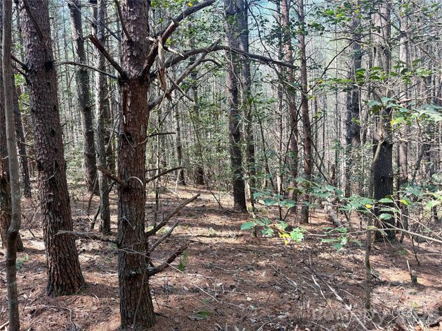 2494 Ivy Rays Way 41, Nebo, NC 28761