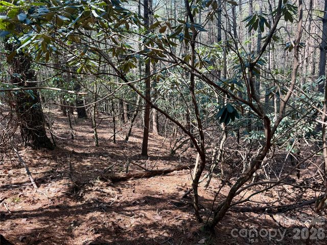 2494 Ivy Rays Way 41, Nebo, NC 28761