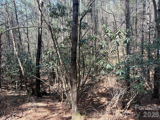 2494 Ivy Rays Way 41, Nebo, NC 28761