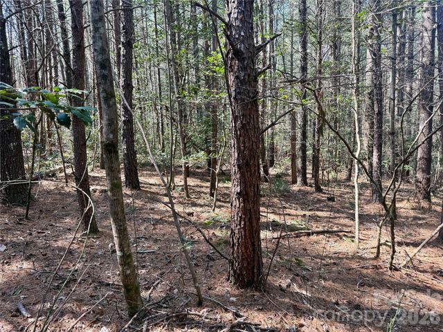 2494 Ivy Rays Way 41, Nebo, NC 28761