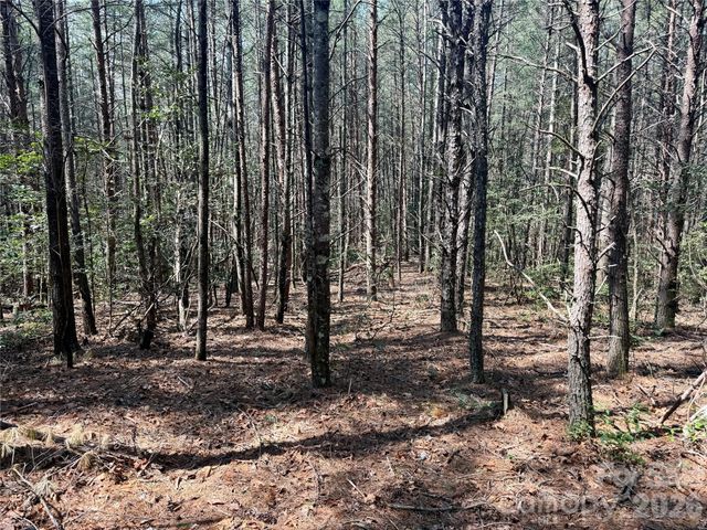 2494 Ivy Rays Way 41, Nebo, NC 28761