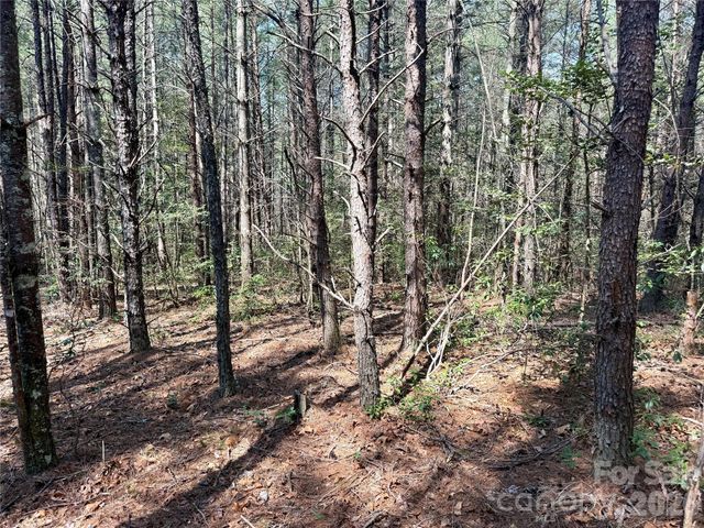 2494 Ivy Rays Way 41, Nebo, NC 28761