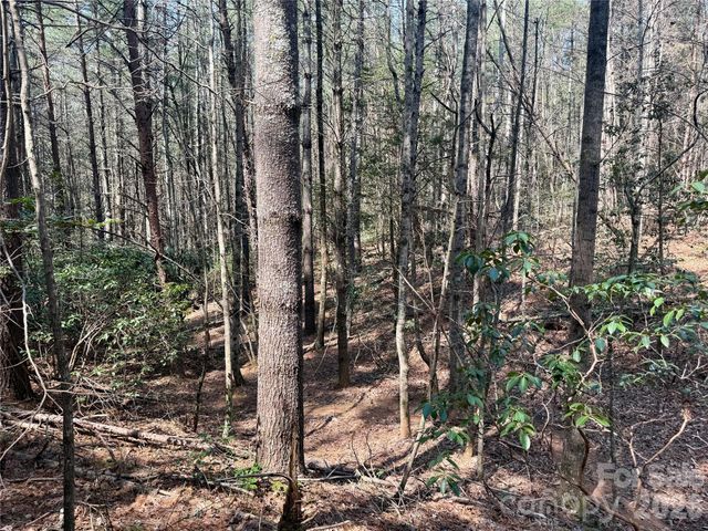 2494 Ivy Rays Way 41, Nebo, NC 28761