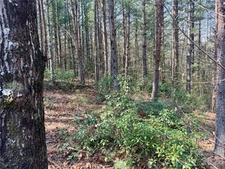 2494 Ivy Rays Way 41, Nebo, NC 28761