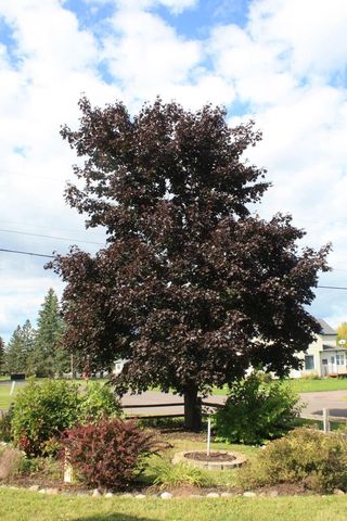 2304 E 10th St, Superior, WI 54880