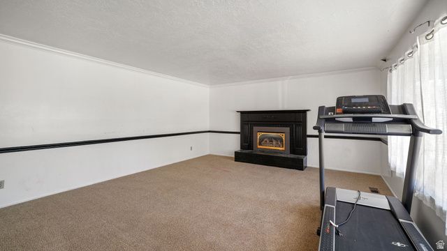 1019 N TIMP VIEW DR, American Fork, UT 84003