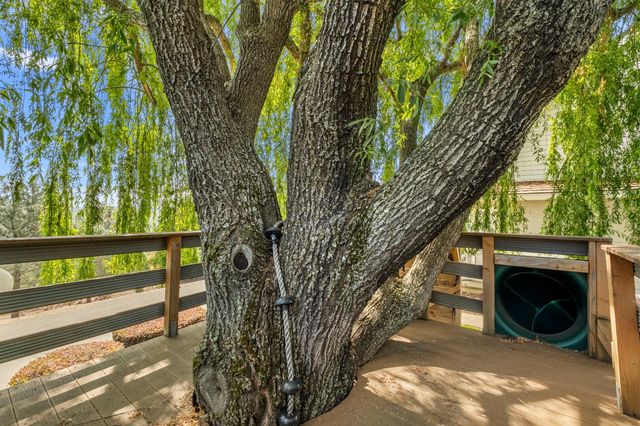 4029 Schelin Ct, Cameron Park, CA 95682