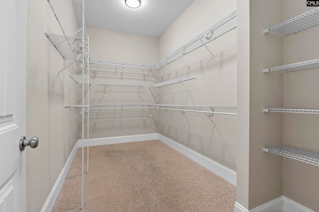 237 Peninsula Way, Columbia, SC 29229