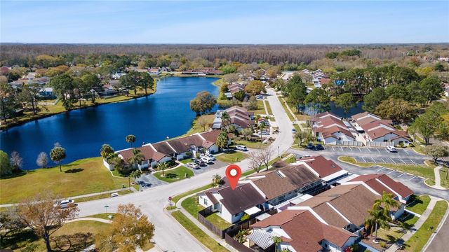 5201 BELLEFIELD DRIVE, Tampa, FL 33624