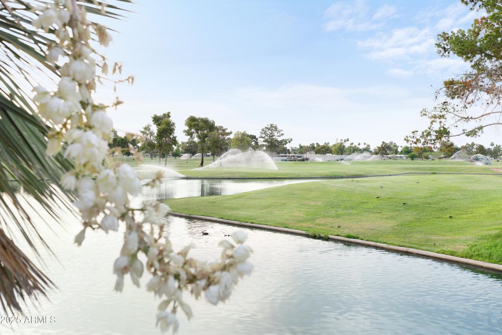 7350 N VIA PASEO DEL SUR -- N207, Scottsdale, AZ 85258 — photo 3