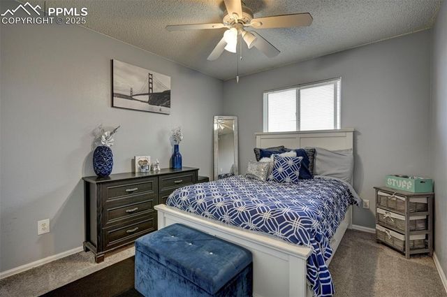 4801 Live Oak Drive, Colorado Springs, CO 80916