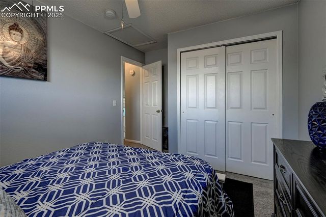 4801 Live Oak Drive, Colorado Springs, CO 80916