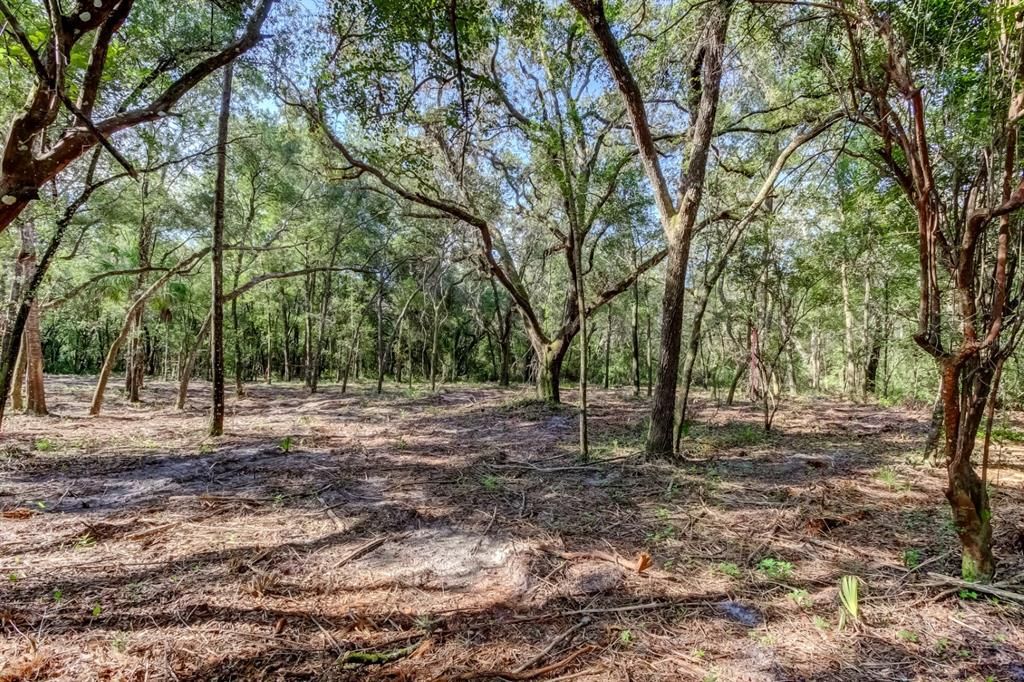 14004 PEACE BOULEVARD, Spring Hill, FL 34610