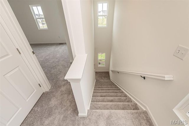 104 Mora Boulevard 445-501, O'fallon, MO 63368