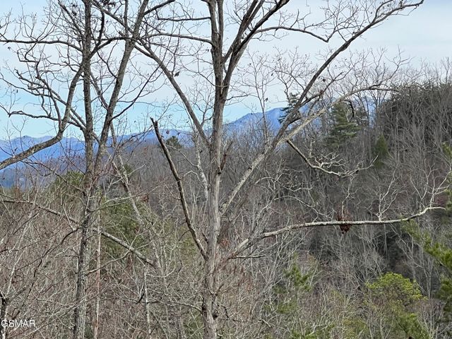 1554 Bear Valley Road, Sevierville, TN 37876