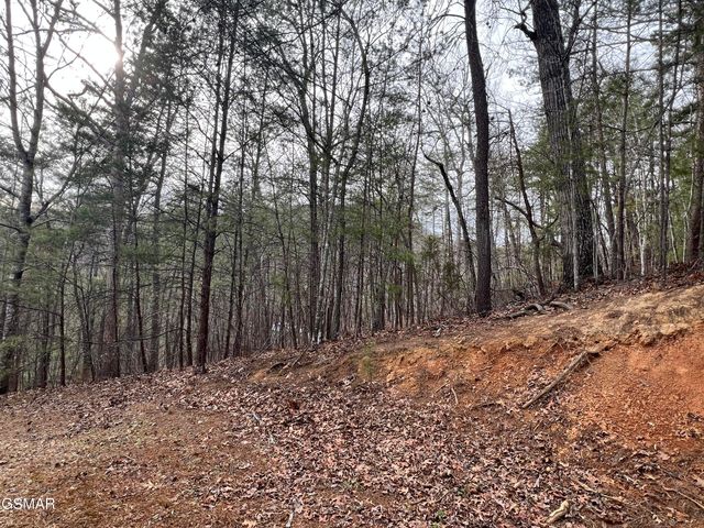 1554 Bear Valley Road, Sevierville, TN 37876