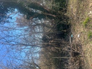 1511 Essex AVE, Roanoke, VA 24017