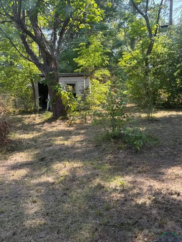 262 HOUSTON ST, Lone Star, TX 75668