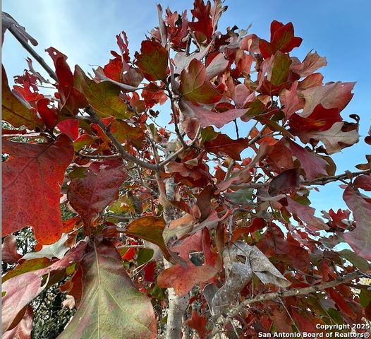 140 County Road 7866, Devine, TX 78016