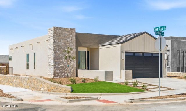 14501 LEYLAND Parkway, Horizon City, TX 79928
