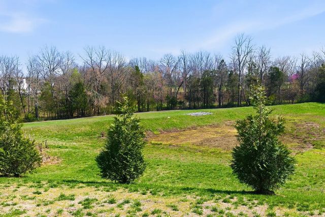 507 Stinson Ct, White House, TN 37188