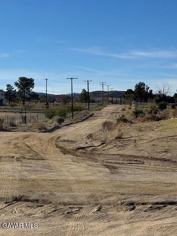 136 Ste Drt Vic Avenue W8 Ste, Pearblossom, CA 93553
