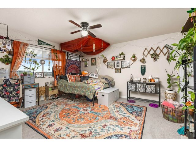 3801 Beech Tree St, Wellington, CO 80549