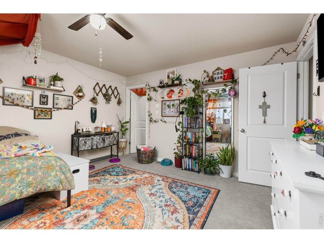 3801 Beech Tree St, Wellington, CO 80549