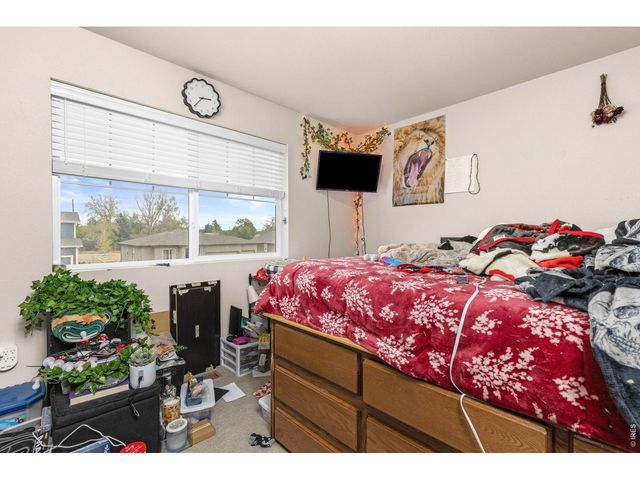 3801 Beech Tree St, Wellington, CO 80549