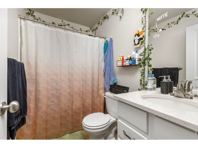 3801 Beech Tree St, Wellington, CO 80549