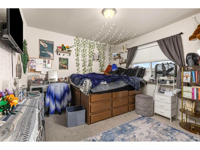 3801 Beech Tree St, Wellington, CO 80549