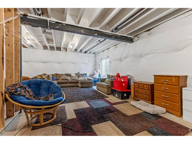 3801 Beech Tree St, Wellington, CO 80549