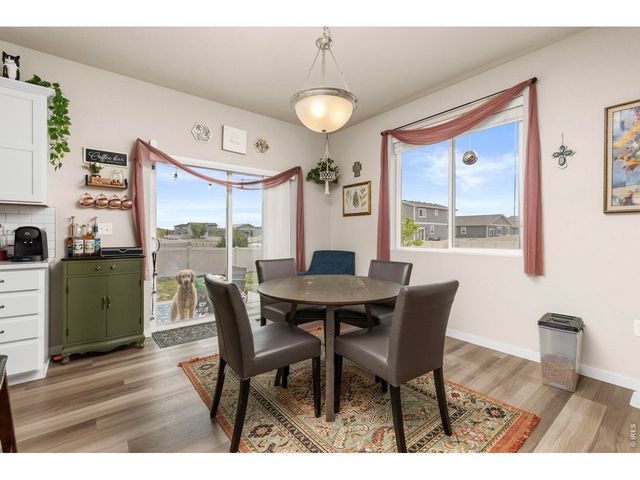 3801 Beech Tree St, Wellington, CO 80549