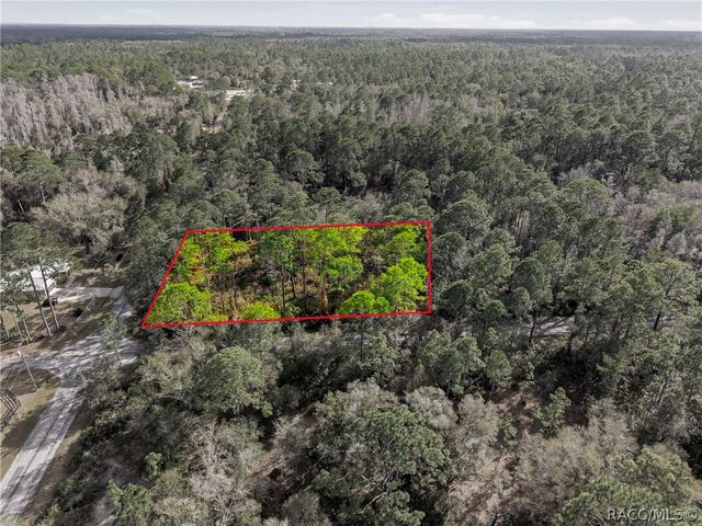 9694 N Cavewood Avenue, Crystal River, FL 34428