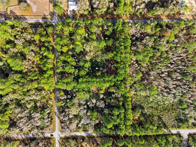 9694 N Cavewood Avenue, Crystal River, FL 34428