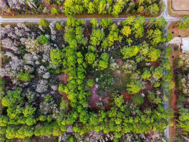 9694 N Cavewood Avenue, Crystal River, FL 34428