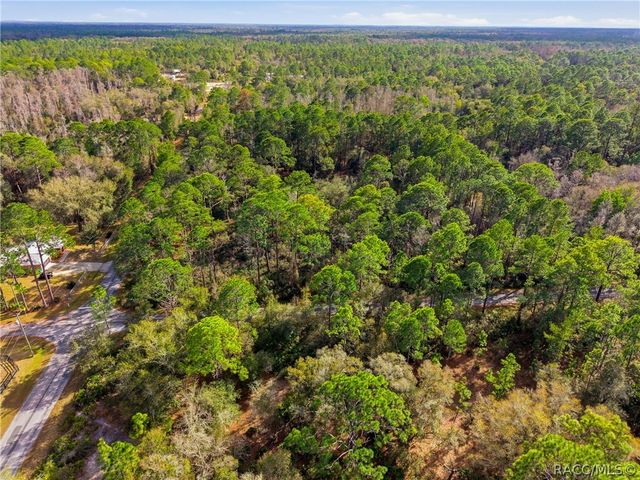 9694 N Cavewood Avenue, Crystal River, FL 34428