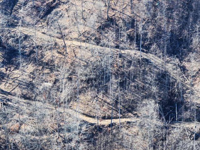 11901 Red Lick Road, Irvine, KY 40336