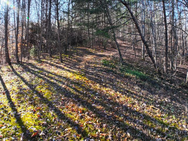 11901 Red Lick Road, Irvine, KY 40336