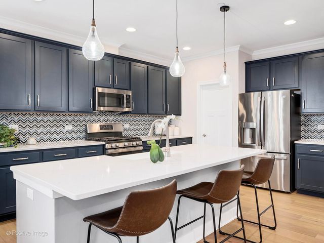 412 Bluff Avenue, La Grange, IL 60525