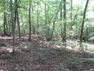205 Gauley Falls Road, Pickens, SC 29671