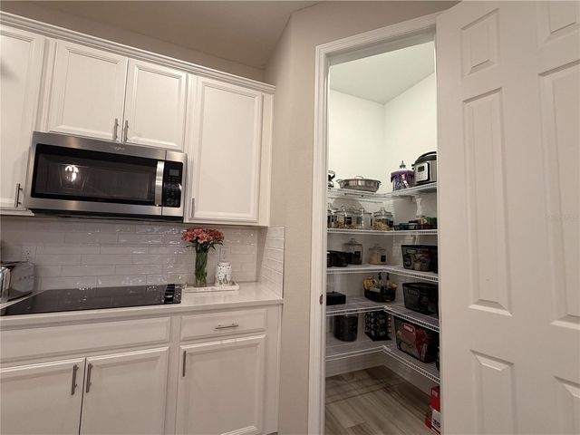 4863 LACEWING DRIVE, Winter Garden, FL 34787