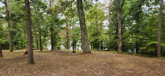 681 Lula Ln, Jefferson, TX 75657