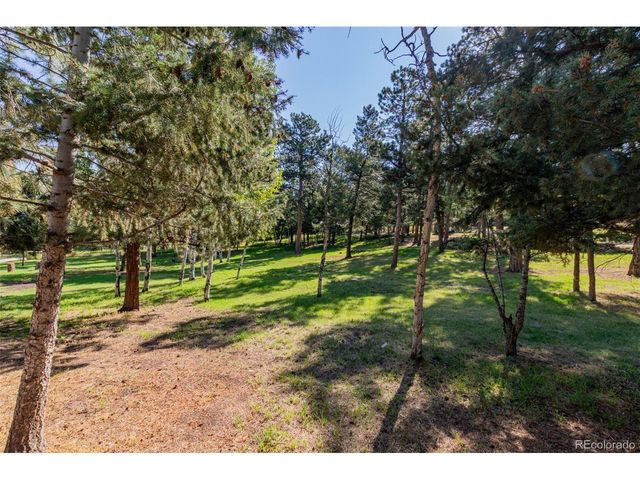 1462 Burland Dr, Bailey, CO 80421