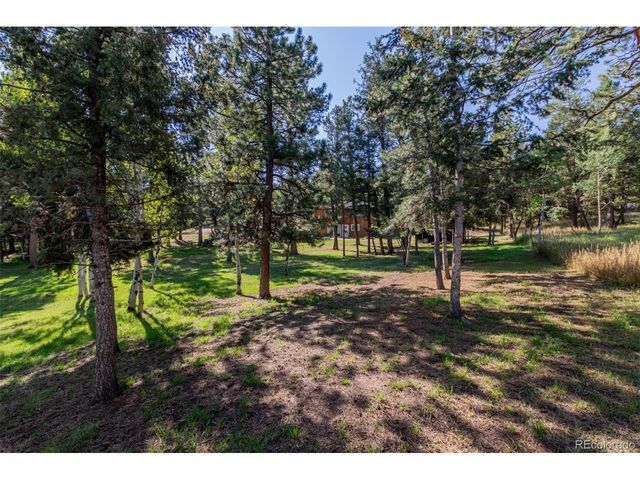 1462 Burland Dr, Bailey, CO 80421